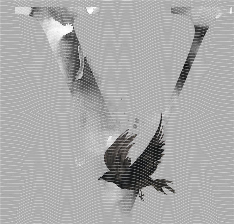 latest edition-KNY 163